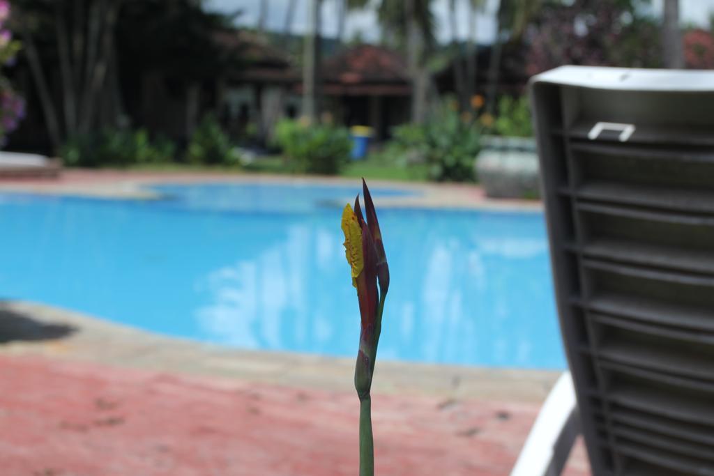 Kuta Indah Hotel Екстер'єр фото